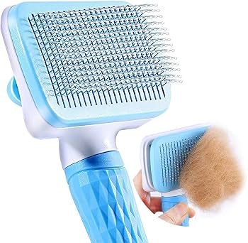 SET PET latest Brushes